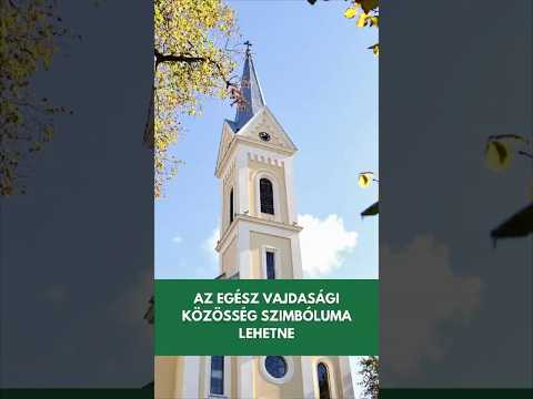 Az egész vajdasági közösség szimbóluma lehetne!-cover