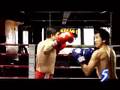 videos de Calefare - Delivering your next knockout performance