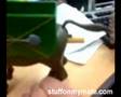 Donkey-Dispenser