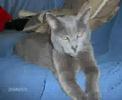 Dusty - Ich vermisse dich Dusty - Ich vermisse dich