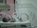 MOV00858