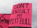 Alaska Women Rally Against Sarah Palin 2008 Rejection Signs Alaska Women Rally Against Sarah Palin 2008 Rejection Signs
