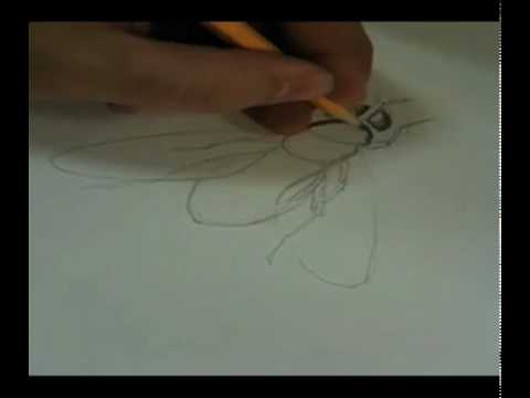 See video