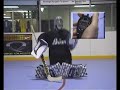 Hockey Goalie Skills