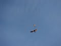 Oriole \"Turbinado\"