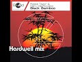 Robbie Taylor & Marc MacRowland - Black Bamboo(Hardwell mix)