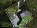 BMW Commercial "Smart Money"