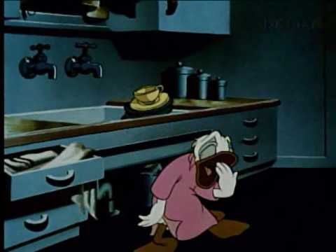 Donald Duck - Drip Dippy Donald (1948)