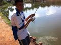 carpa cabeçuda pesqueiro monte negro pega ao vivo parte 1