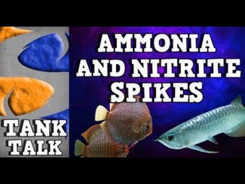 how to get rid of ammonia