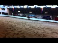 Reining - dressuur in Wanroij 2010