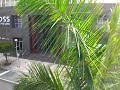 Westinghouse APM - Miami-Dade Metromover