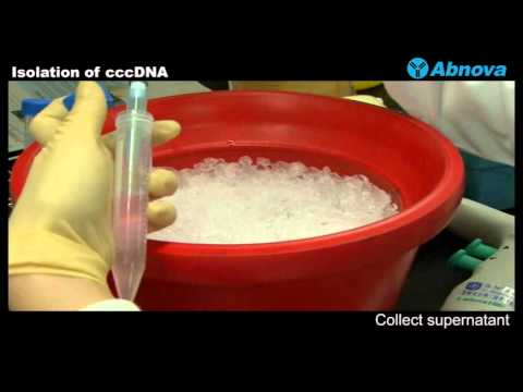 how to isolate nuclei from cells