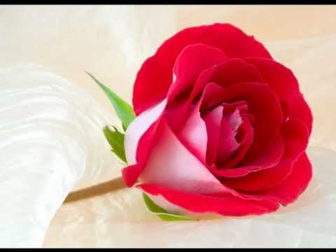 Top 20 Bollywood Sad Songs - Full Version