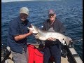 videos de Grey Trout