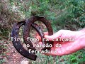 kkkkkkkkkkkkkkkkkkkkkk
nada a declarar