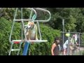 VIDEO: Dog Dayz 2009