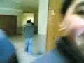 stalone-de-gaia.html