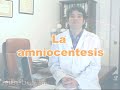 Videos de embarazo - Amniocentesis de www.elbebe.com
