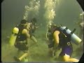 scuba diving in jamaica