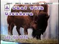 A Chat With Glendora 4860