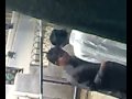 Slaps-In-Bus