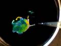 Structured gel turns colors based on stimuli