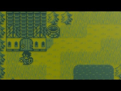 動画