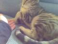 videos de VID00012.AVI