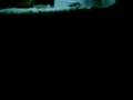 videos de Tank 75 gallon