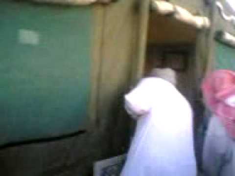 قلص محترم