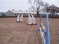 jumping at home(90cm)(1m)(n a tiny 1!) jumping at home(90cm)(1m)(n a tiny 1!)