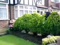 me jumpin through a bush lol