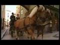 Barbara Bortoli and Mozart - www.barbarabortoli.com
