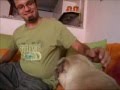 Pug video