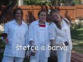 praxe za rok 2007