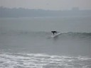 malibu ride