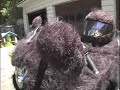 Ty Grizzly: Mink Bike Ty Grizzly: Mink Bike