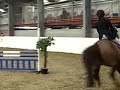 BSJA 20/02/08