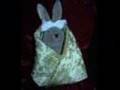 Taylor's Travels part 2 -