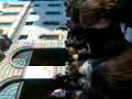 la manif des lycée les carillion et bodelére et lachenal