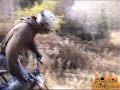 Medeo X-Race (DH, Downhill) Medeo X-Race (DH, Downhill)