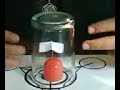 Telekinetic real, mind power over matter