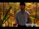 How to Grow Sarracenia : Growing Carnivorous Pitcher Plants How to Grow Sarracenia : Growing Carnivorous Pitcher Plants