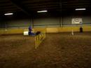 Pigges vinst lopp Pigges vinst lopp