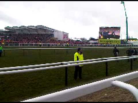 cheltenham gold cup