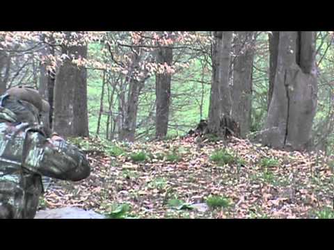 west virginia turkey hunt 2010