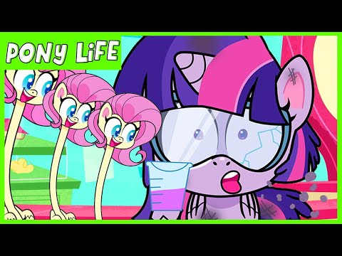 Pony Life Potion Mystery 