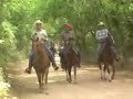 Big Cowboy Little Cowboy 3 Amigos & A Mule Big Cowboy Little Cowboy 3 Amigos & A Mule