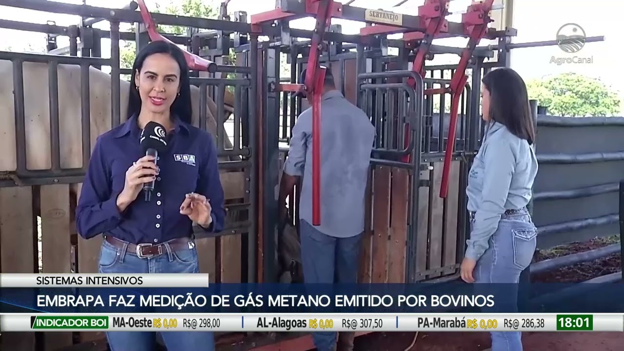 Embrapa trabalha no conceito de carne bovina com baixa emissão de carbono